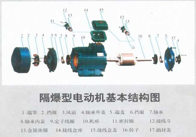 防爆電機結(jié)構(gòu)圖解及接線實物圖